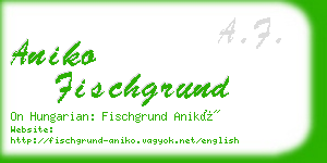 aniko fischgrund business card